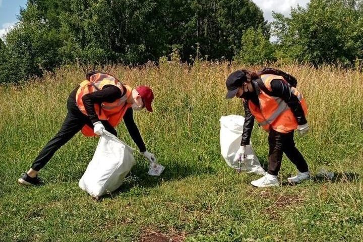 Костромское трудовое лето: школьники начали работу в экоотрядах
