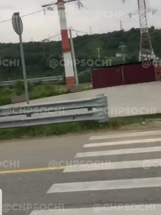 В Сочи сняли на видео обнажённого мужчину, разгуливающего по трассе в позе Кин Конга
