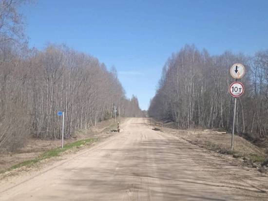 Ремонт дороги Москвино – Новокемский начнется в Вашкинском районе