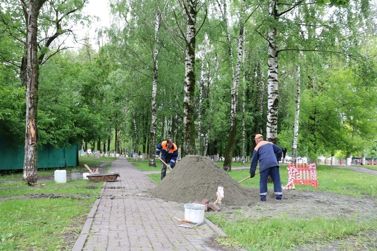 Брянск вчера. Сквер Лесные сараи Брянск. Лесные сараи Брянск фото. Троицкий сквер дорожки. Провал земли в лесных Сараях Брянск.