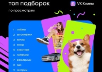 Сервис коротких вертикальных видео от соцсети Вконтакте - VK Клипы — подвел итоги второго года работы
