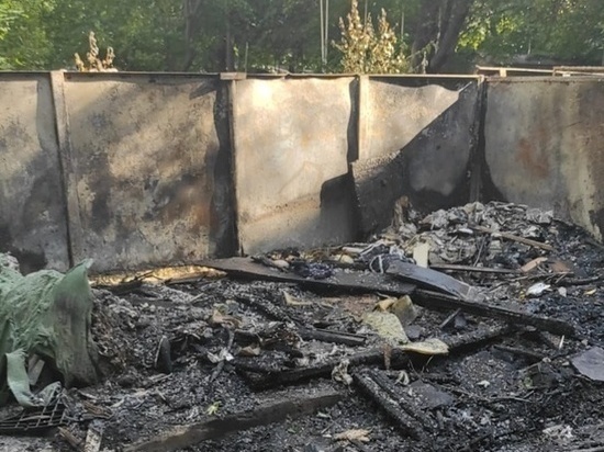В Ростове дети сожгли мусорные контейнеры, поджигая тополиный пух