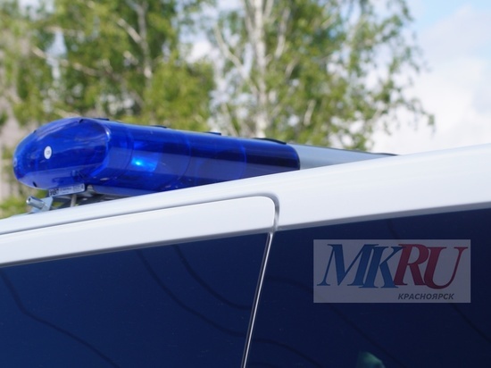 Жительницу Красноярска объявили в межгосударственный розыск за дискредитацию Вооруженных сил