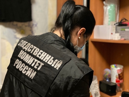 В коррупционных преступлениях заподозрили директора Новгородского агротехнического техникума