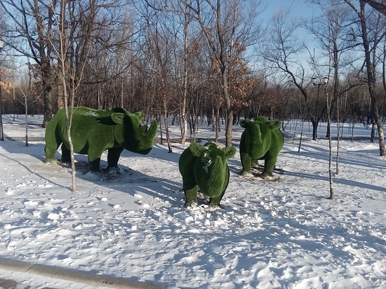Заявки на новогодние городки начали принимать в мэрии Хабаровска.
