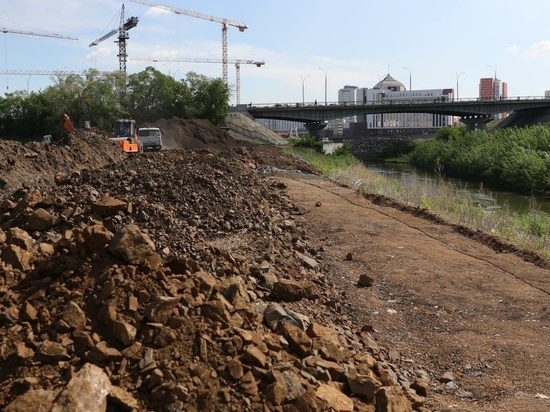 Власти Кемерова объяснили причину вырубки деревьев в парке Жукова