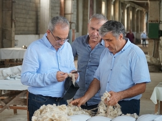 В Дагестане увеличат объёмы перерабатываемой шерсти