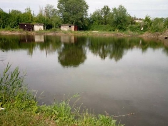 В Саратове в пруду утонул мужчина
