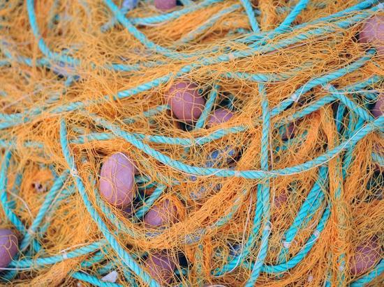 Рыболов-браконьер подрался с инспекторов рыбнадзора в Удмуртии
