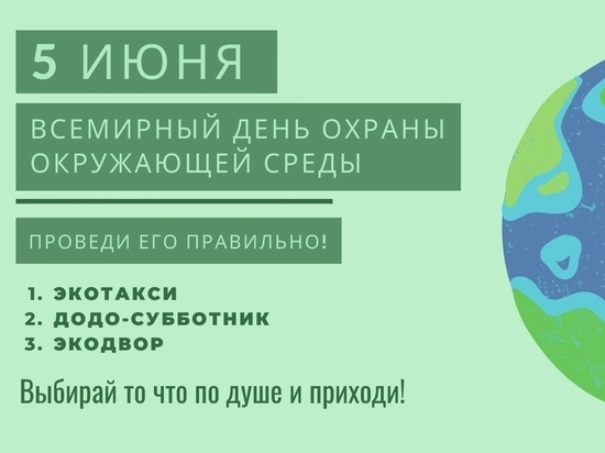 В Курске волонтеры проекта «Экодвор» проведут 5 июня большой додо-субботник