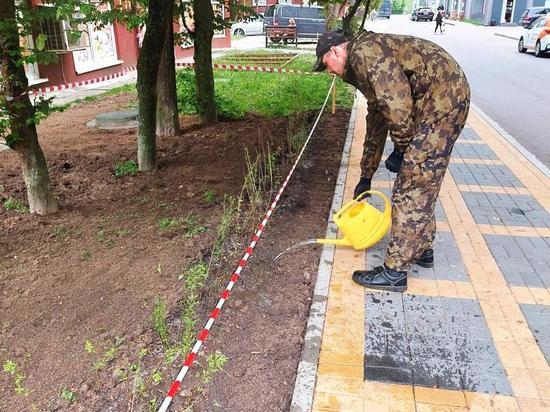 В Зеленоградске металлические изделия поменяют на живую изгородь