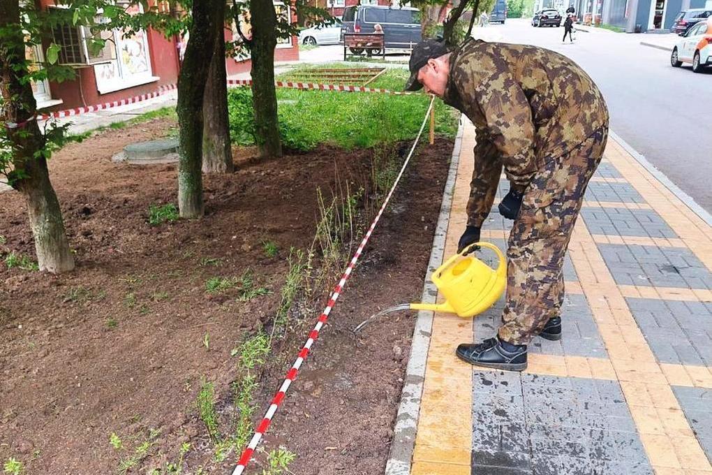 Зеленоградск бровцева