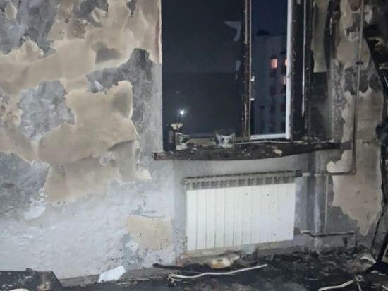 Прокуратура Донского региона проводит проверку после гибели ребенка при пожаре в Аксае
