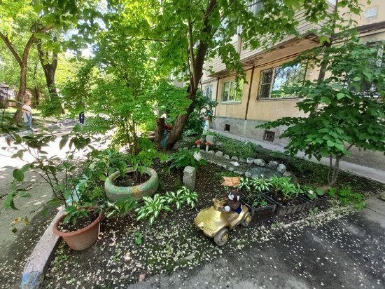 Красивый двор в Хабаровске жильцы оберегают с помощью колдовства
