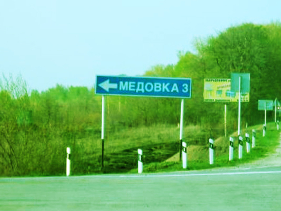 Воронежскую Медовку напрямую соединят с федеральной трассой М-4 "Дон"