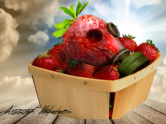 «В России даже летом выгоднее продавать заграничную ягоду»