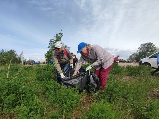 Петербуржцы собрали с берегов Смоленки 6 тонн мусора
