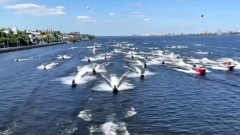 Воронежские гидроциклисты устроили водный парад в честь открытия сезона 