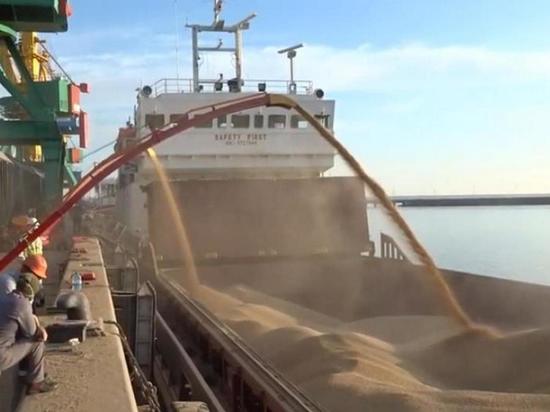 СМИ: турецкий флот будет сопровождать украинские сухогрузы с зерном