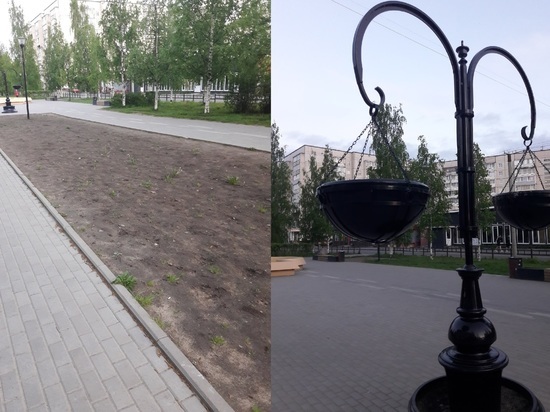 Жителей Петрозаводска волнует отсутствие цветов на газонах