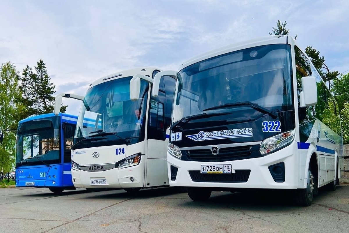 Karelia, LiAZ-5256.23 (GolAZ) 102 - Photo - Bus Transport