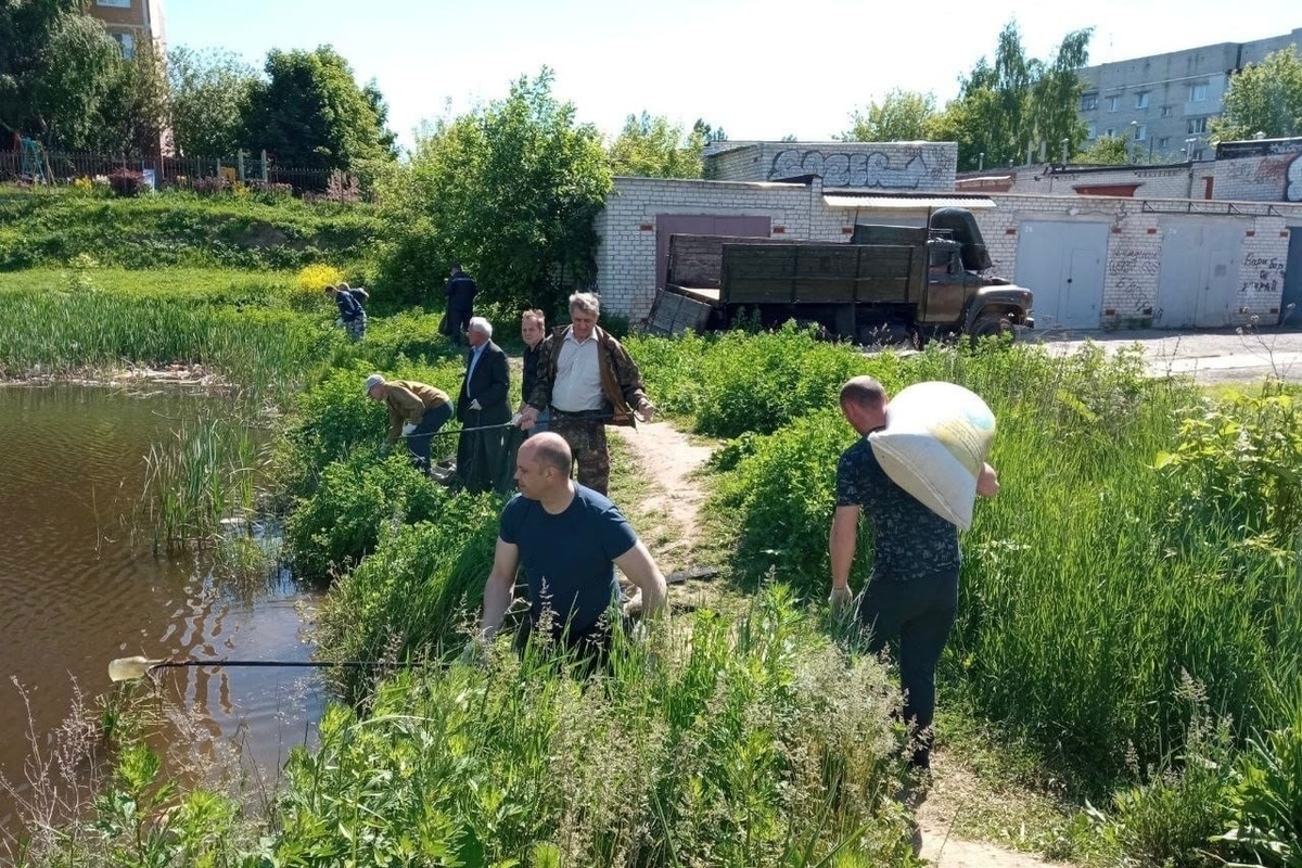 курск набережная