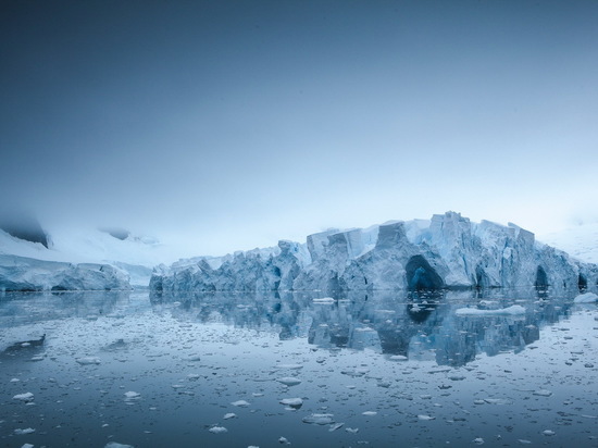 В протекающей под ледником Антарктиды реке нашли раков
