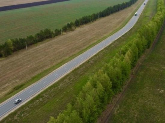 В Новосибирской области водитель погиб после опрокидывания автомобиля