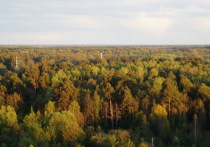 По итогам весны 2022 года Республика Марий Эл вышла на 17-е место в экологическом рейтинге регионов России.
