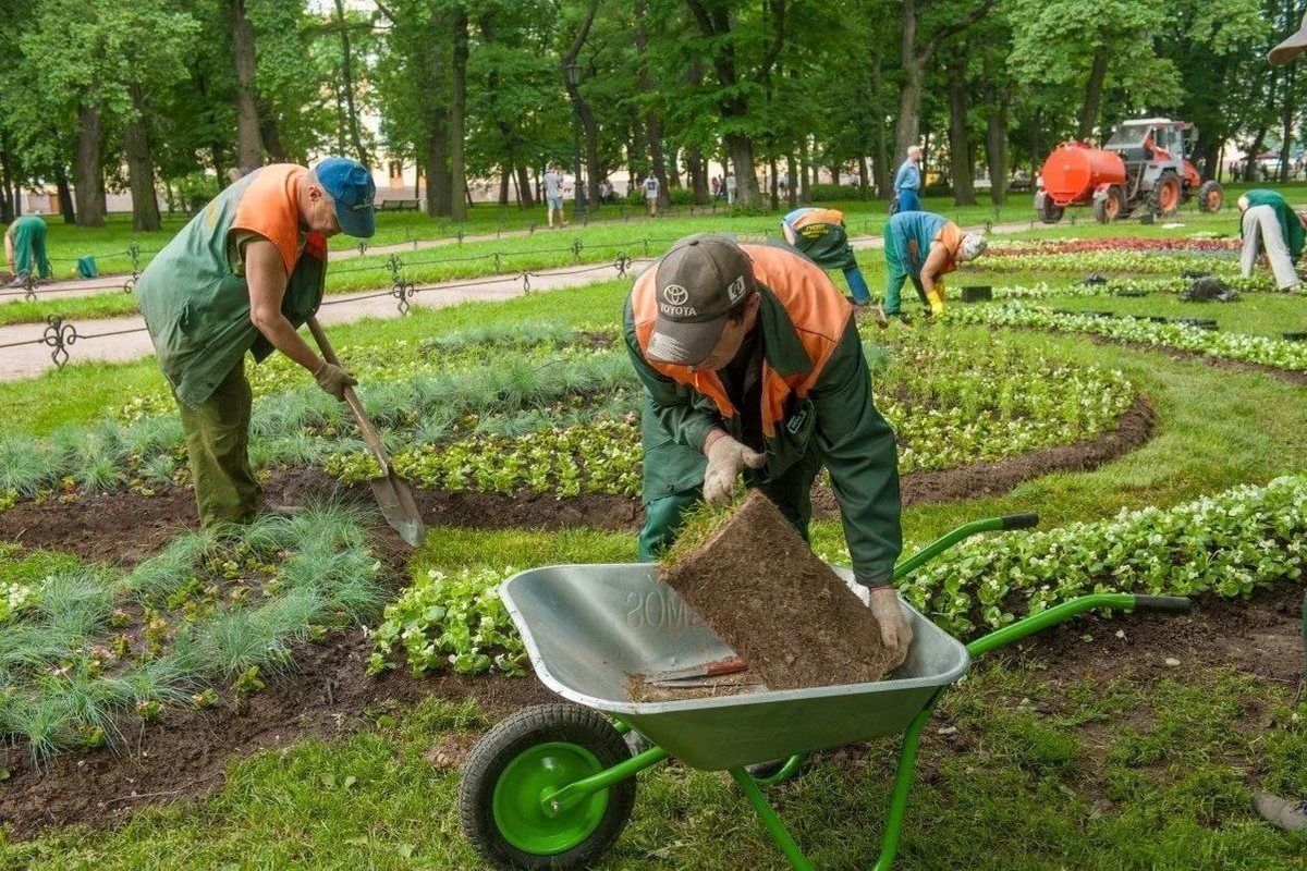 Картинка общественных работ