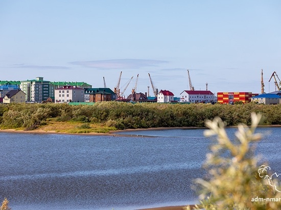 Следить за нарушениями этого запрета будут работники муниципального контроля