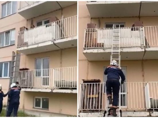 В Новосибирске собака закрыла хозяйку на балконе