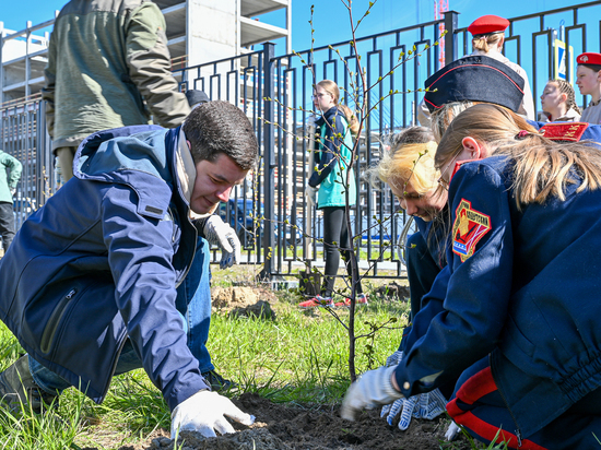 5 из 150 новых деревьев у детсада в Салехарде посадил Дмитрий Артюхов