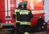 В горевшей квартире в Красносельском районе пожарные обнаружили тело женщины. Об этом сообщили в пресс-службе ГУ МЧС по Петербургу.