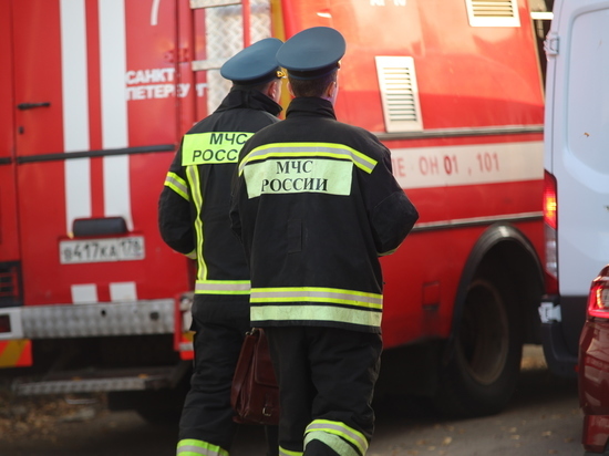В пожаре в Красносельском районе погибла женщина