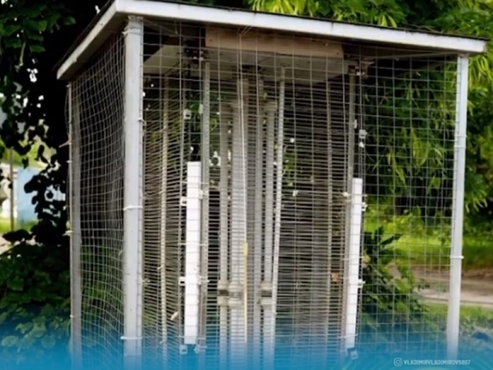 Полям Ставрополья начал угрожать опасный вредитель