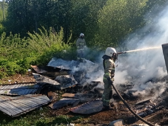 Пожарные тушили огонь на территории села в Прионежском районе Карелии