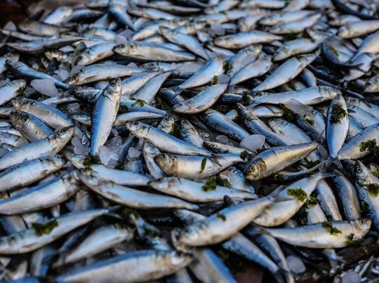 Себежанин лишился 46 незаконно добытых рыб