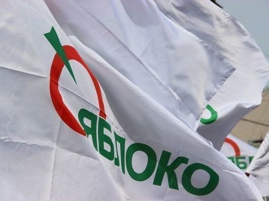 Партия «Яблоко» в Ярославле выставит своего кандидата на губернаторские выборы