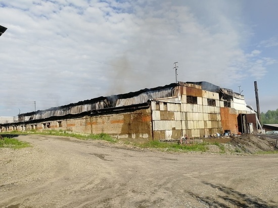 В селе Хабаровского края потушен крупный пожар