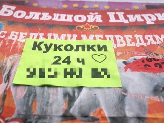 В ЗакСе рассказали, как очистят Петербург от рекламы продажной любви
