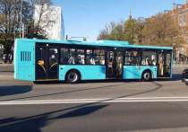 В день празднования 350-летия Петра Великого по Петербургу будут курсировать дополнительные автобусы. Об этом сообщили в пресс-службе комитета по транспорту.