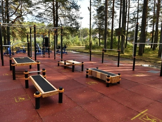 Две площадки для занятий спортом оборудуют в районах Карелии