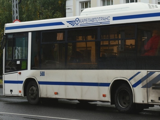 Водитель рейсового автобуса нарушил ПДД, автопредприятие Карелии проведет проверку