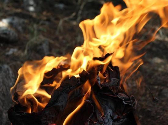 В Якутии на 9 июня действует шесть лесных пожаров