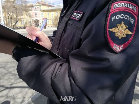 Полиция проверит жалобу в соцсетях на парня с детской площадки в Краснокаменске