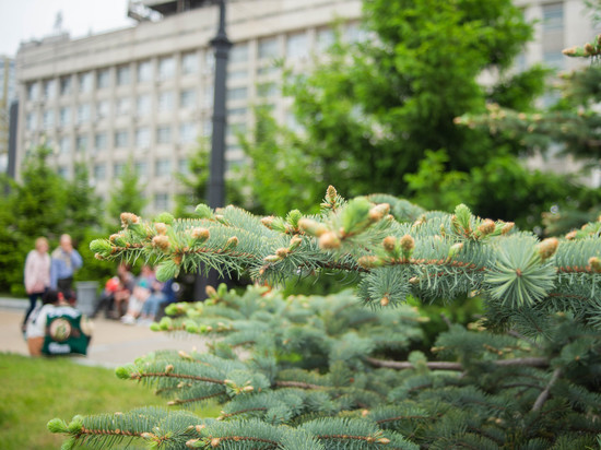 О том, как отпразднуют День России 2022 в Хабаровске, читайте в материале «МК в Хабаровске»