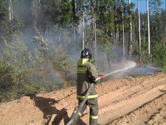 В Ивановской области начали гореть леса