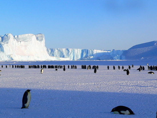 В снегу на побережье Антарктиды найден микропластик