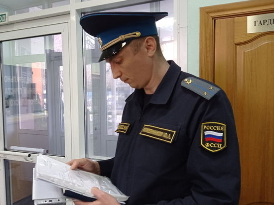 Жителя Ставрополья оштрафовали на полмиллиона за рубку леса в Подмосковье